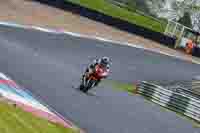 Middle Group Red Bikes